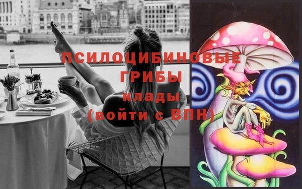 дурь Гусев