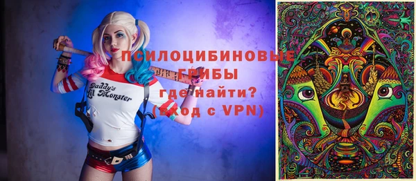ECSTASY Новодвинск