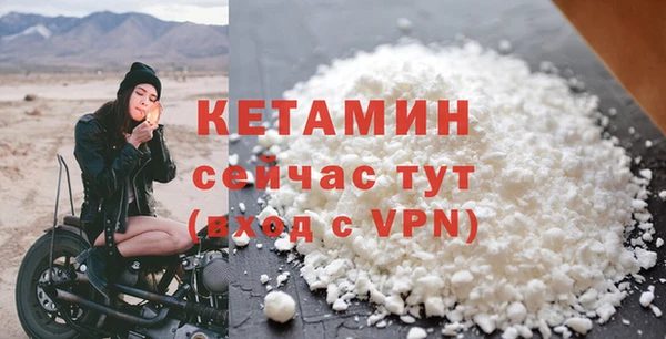 прущие грибы Новозыбков