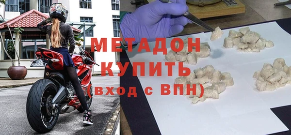 прущие грибы Новозыбков